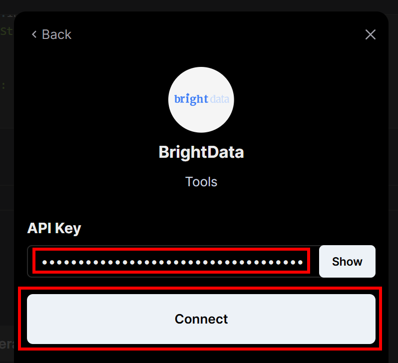 Вставьте свой ключ API Bright Data и нажмите "Подключить".