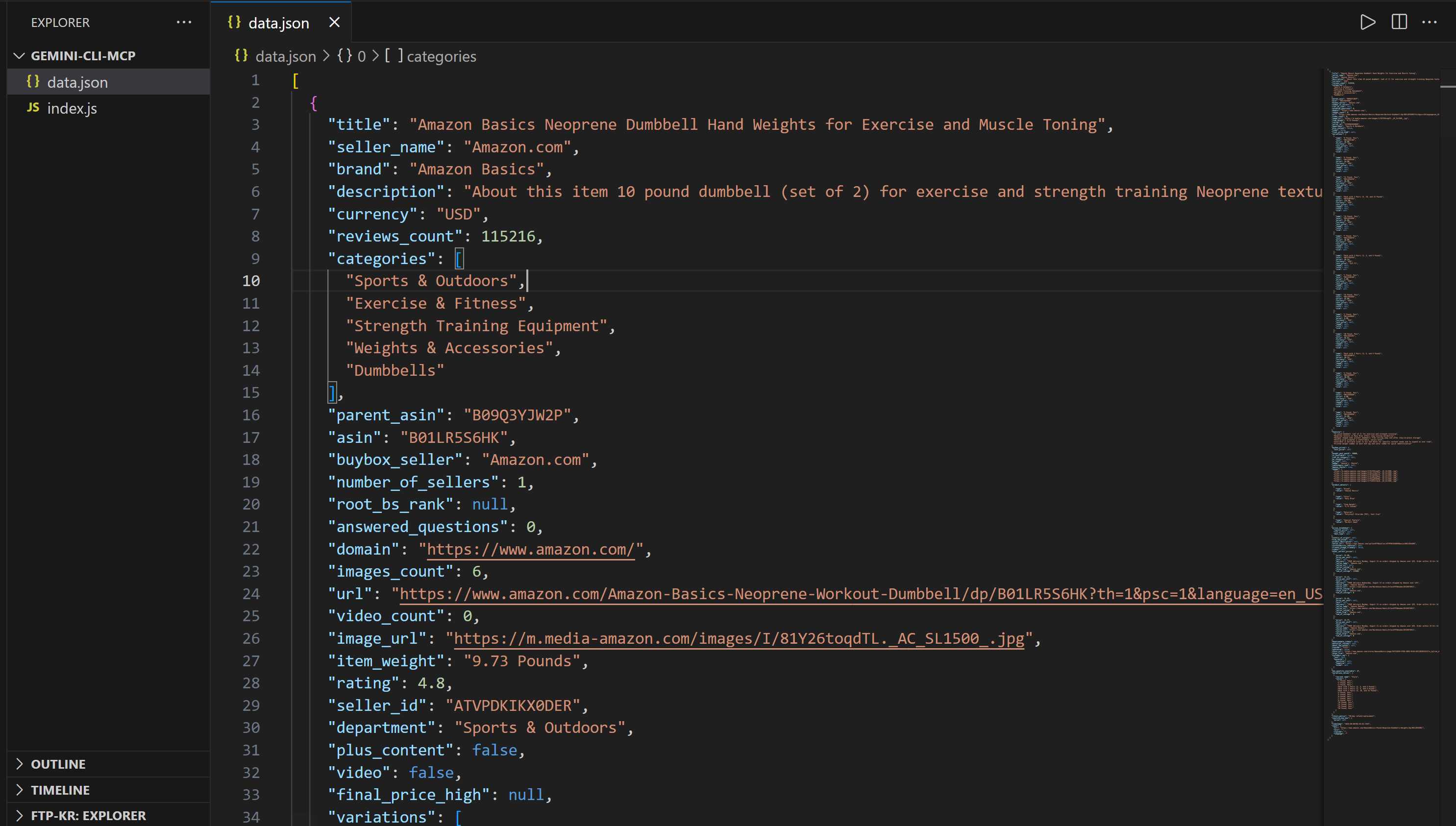 data.json в VSC