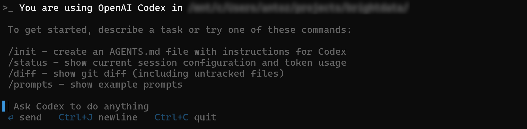 Вид подсказок OpenAI Codex CLI