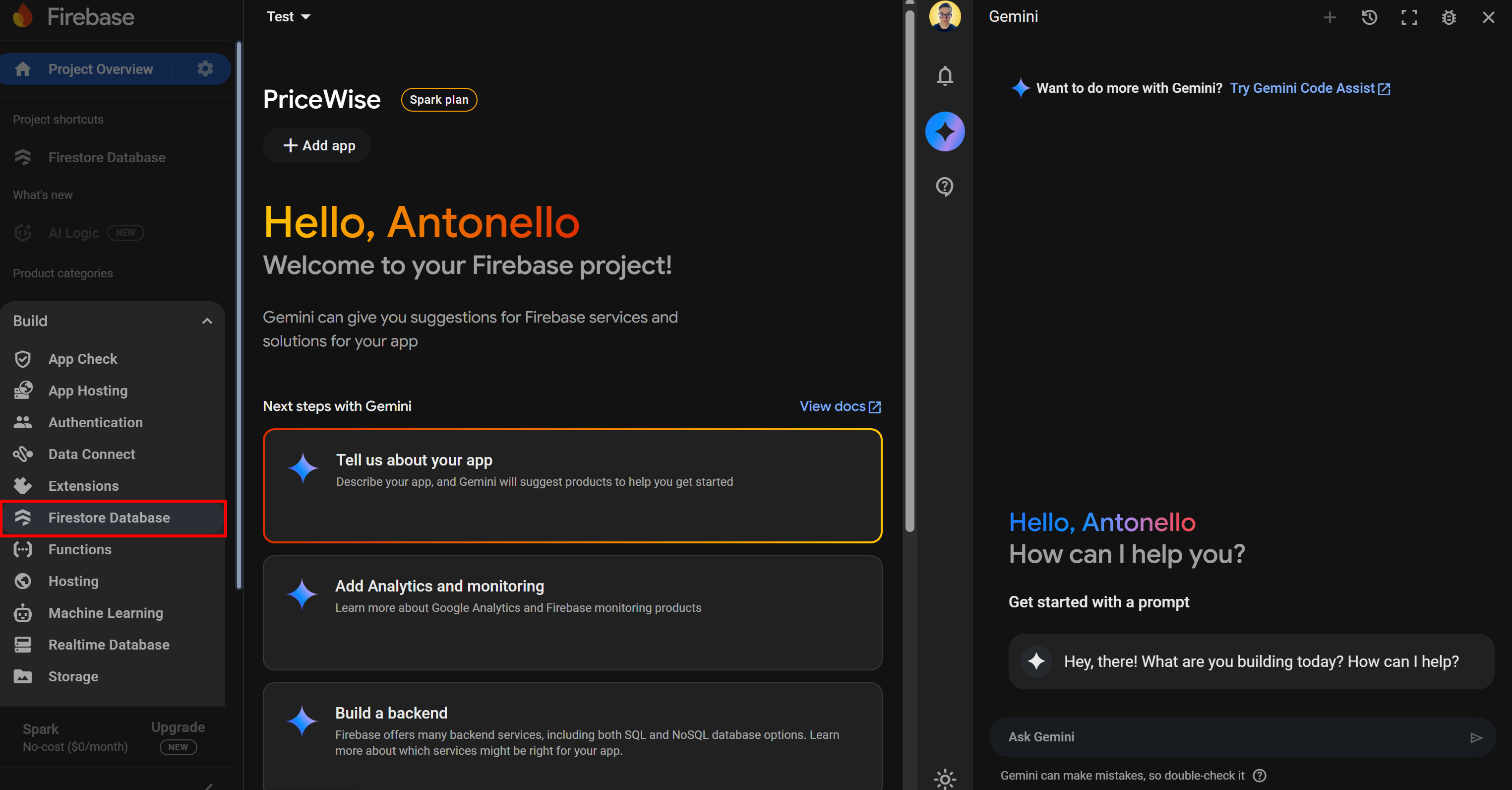 Selecting the “Firestore Database” option